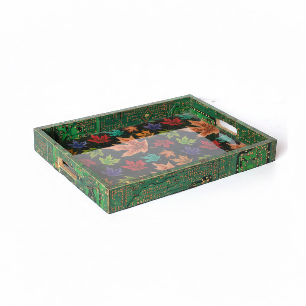 Tray_6