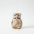 Barn_Owl_2