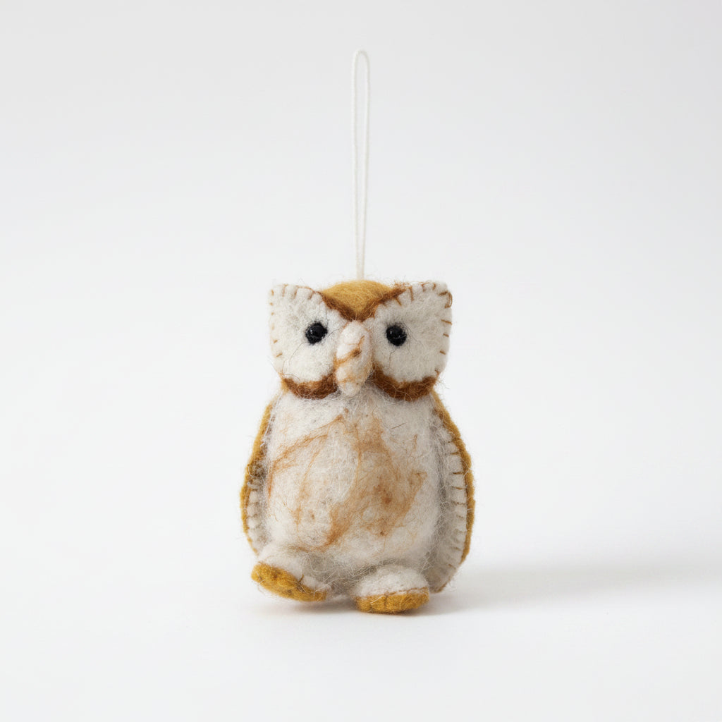 Barn_Owl_2