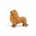 Wild Lion